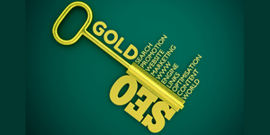 Digital Media Gold SEO Advertising in India