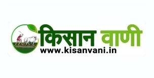 Radio Media Radio Kissan Advertising in Khordha